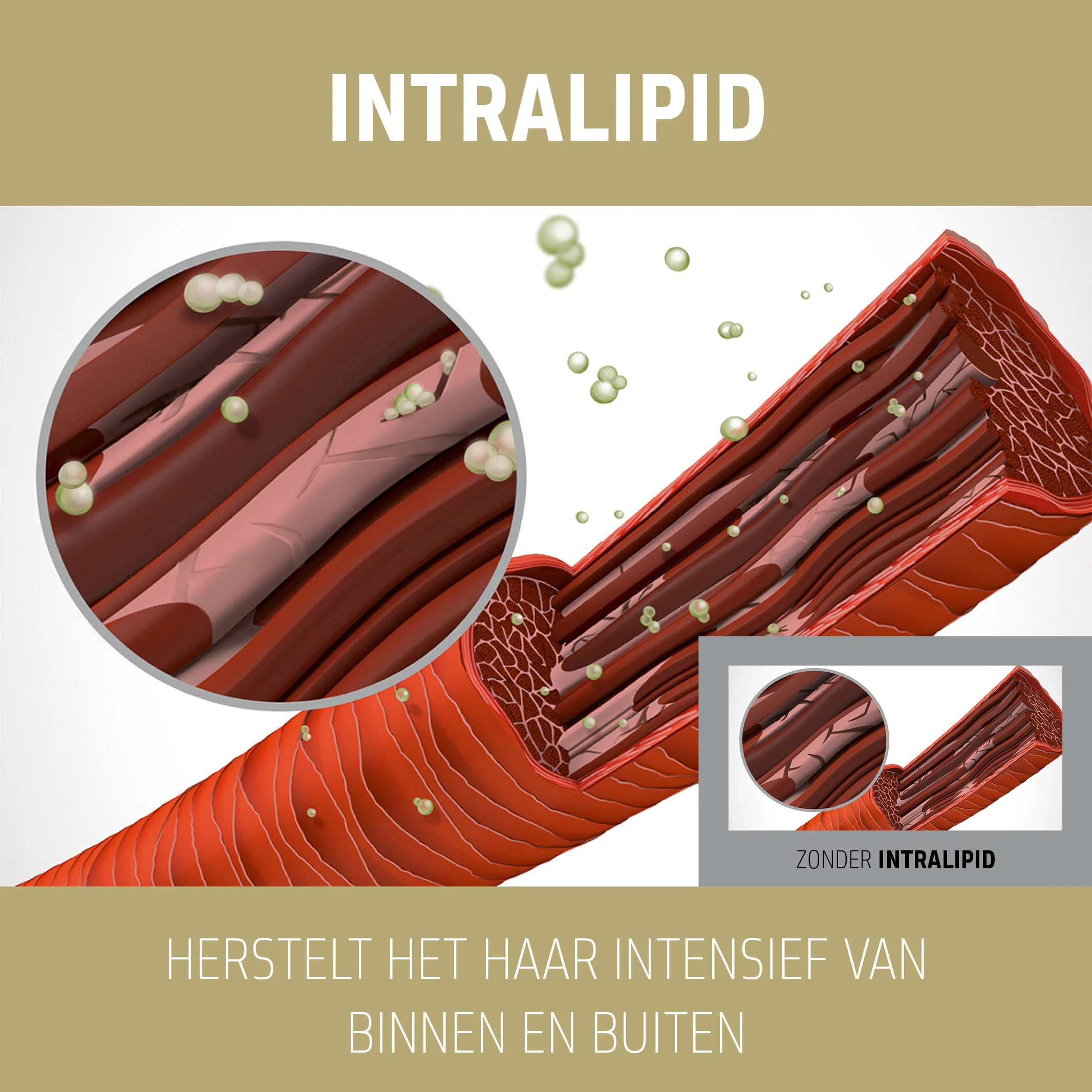 Productafbeelding 3
