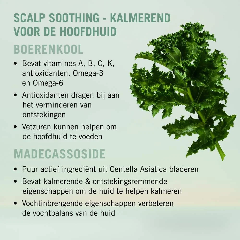Productafbeelding 4